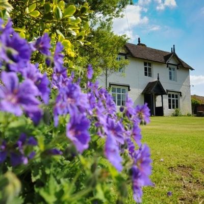 Thumb guest house shrewsbury flowers 500x500