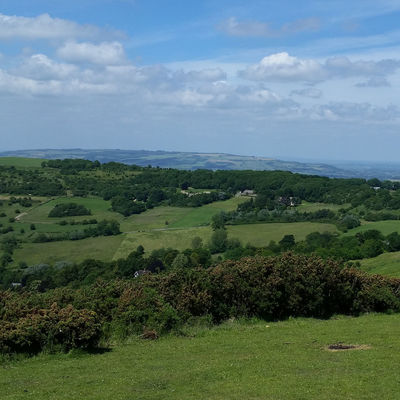 Thumb crossways view