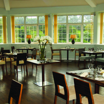 Thumb restaurant