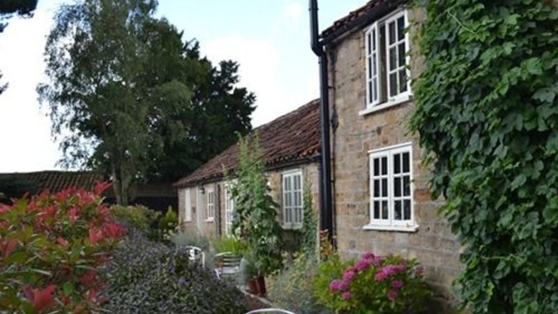 The Durham Ox
