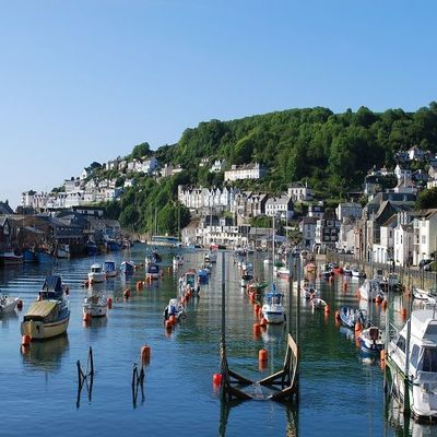 Thumb looe 1
