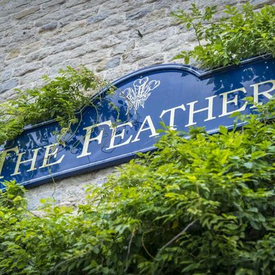 Thumb the feathers signage