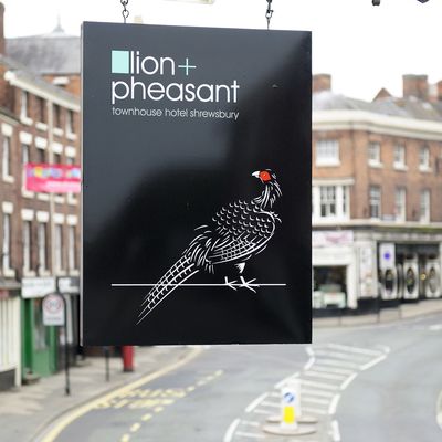 Thumb lionpheasant2 056
