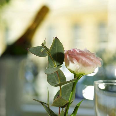 Thumb copy 2 of windsor bath 072190rose