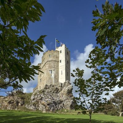 Thumb roch castle through summer trees
