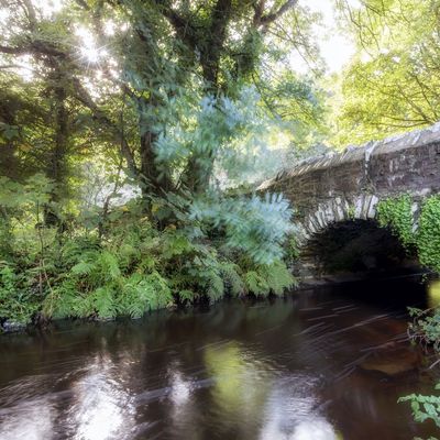 Thumb penrhiw flowing river
