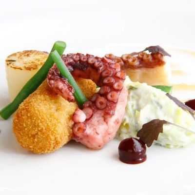 Thumb octopus