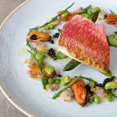 Thumb food may 2017