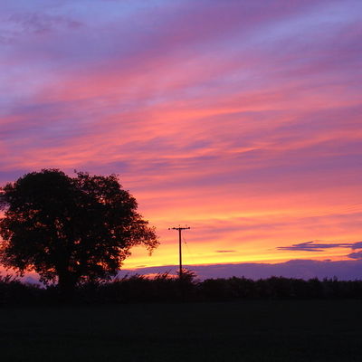 Thumb mollett s farm sunset with oak tree